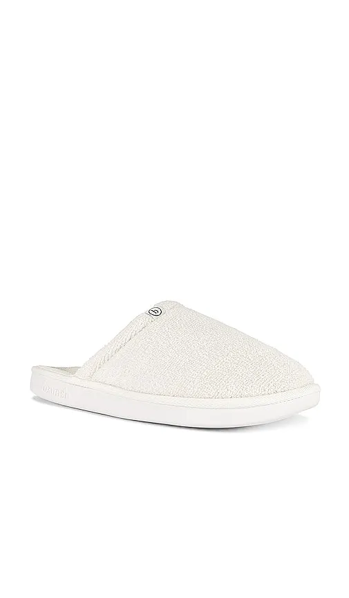 Brunch L'Essentiel in Cream